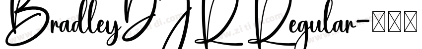 BradleyDJR Regular字体转换